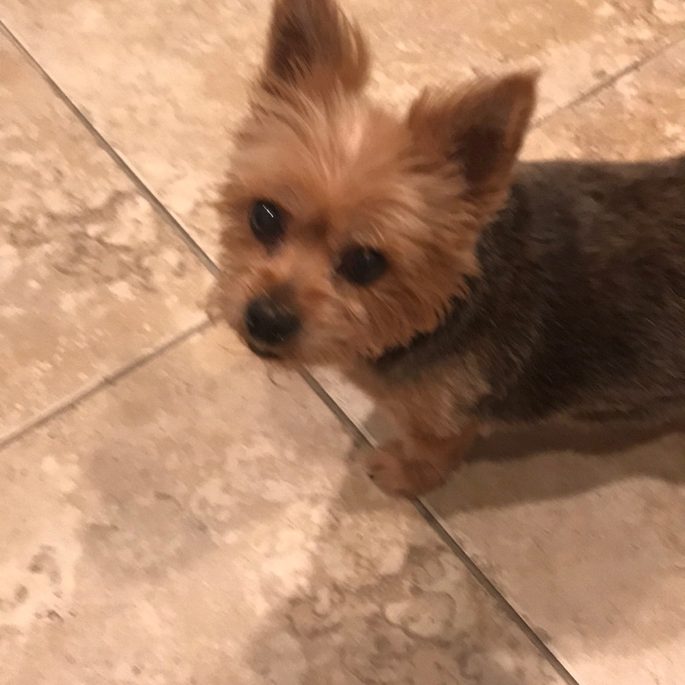 Meet your Posher, Kelly